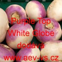 Vodnice brukev řepák Purple Top White Globe