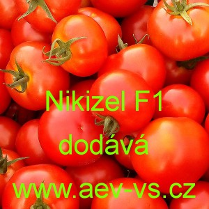 Rajče tyčkové hybridní Nikizel F1